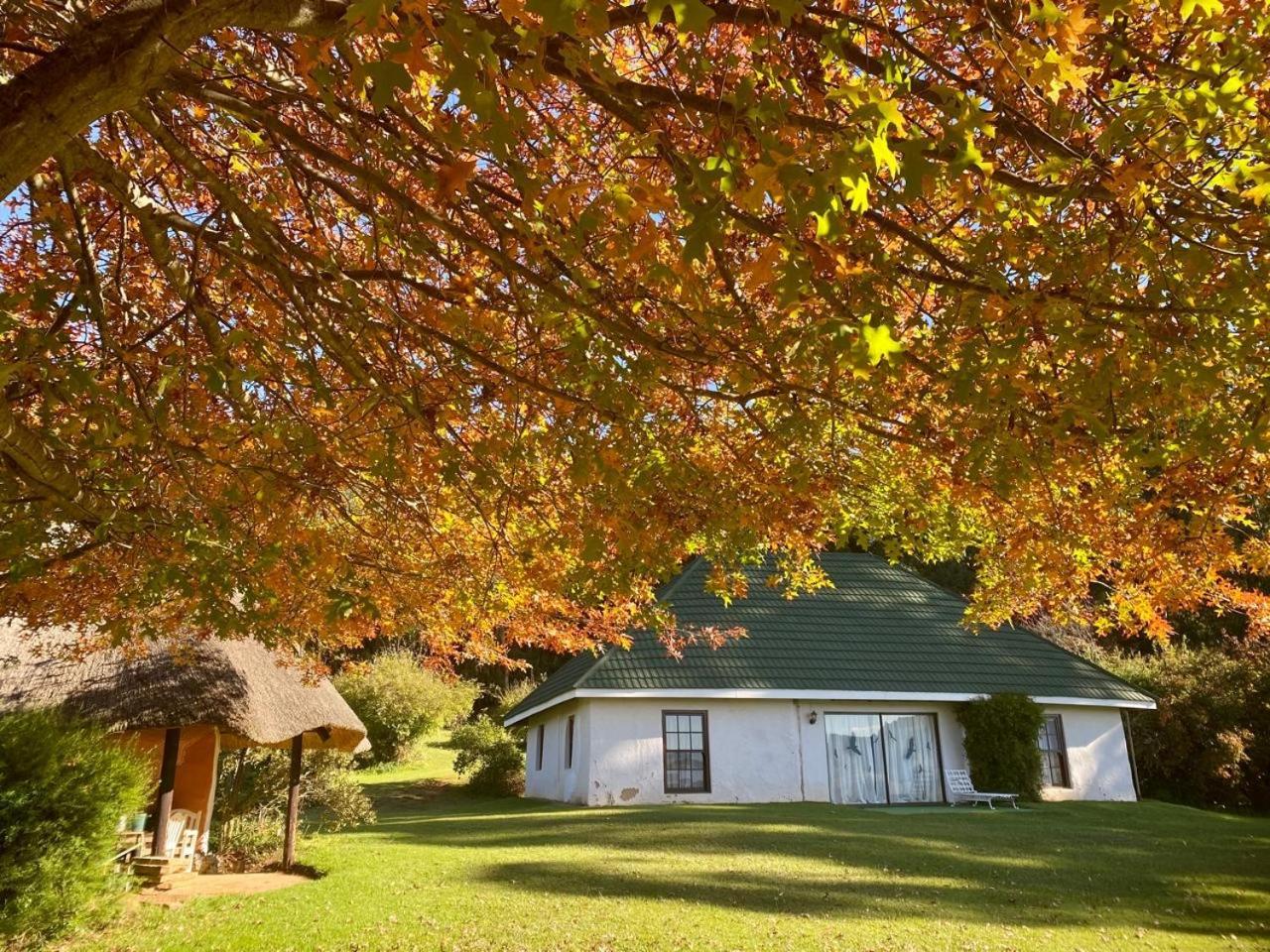 Pear Tree Cottage-Underberg Kültér fotó