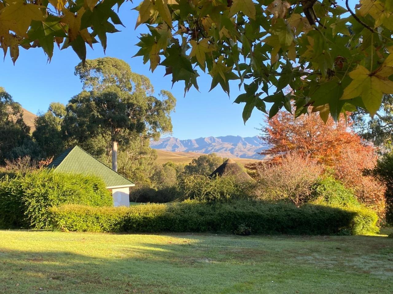 Pear Tree Cottage-Underberg Kültér fotó